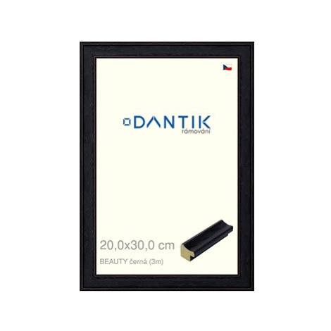 DANTIK rámeček 20 × 30, BEAUTY černý sklo čiré