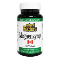 Natural factors Megaenzymy 90 tbl