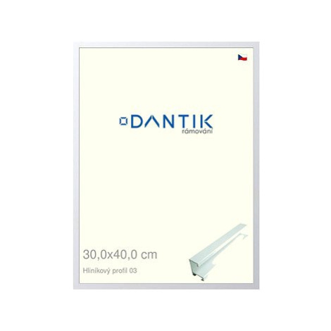 DANTIK rámeček 30 × 40, ALU profil 7003 Bílý matný plexi čiré