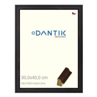 DANTIK rámeček 30 × 40, DELFINO hnědý plexi čiré