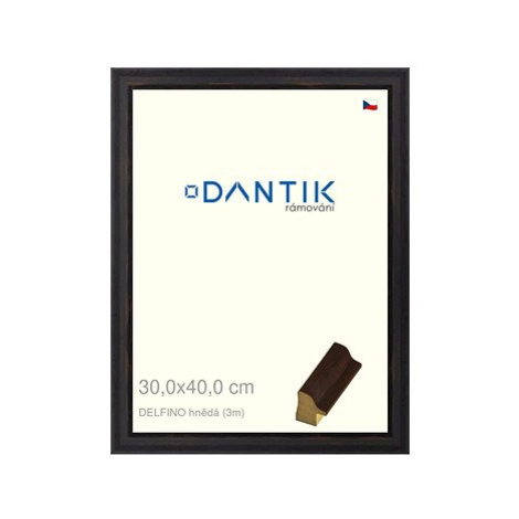 DANTIK rámeček 30 × 40, DELFINO hnědý plexi čiré