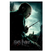 Umělecký tisk Voldemort, 26.7x40 cm