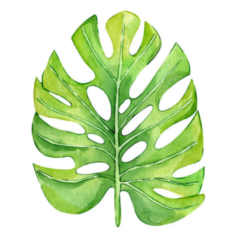 Plakát, Obraz - Watercolor hand painted green tropical leaves,, DZHAMILIA ABDULAEVA, 40 × 40 cm