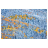 Fotografie Transition of Seasons, Mei Xu, 40 × 26.7 cm