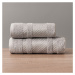 Bavlněný froté ručník s bordurou LIONEL 50x90 cm, světle šedá/stříbrná, 450 gr Mybesthome