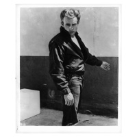 Fotografie James Dean In 'Rebel Without A Cause', Archive Photos, 32.9 × 40 cm