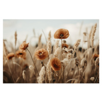 Fotografie Orange Poppy Field, Treechild, 40 × 26.7 cm