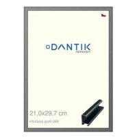 DANTIK rámeček 21 × 29,7, ALU profil 7269 Platina matný sklo čiré