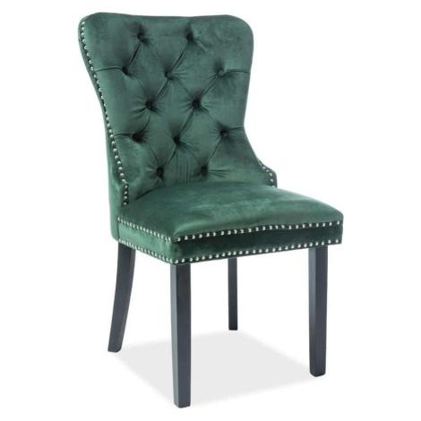 Casarredo Jídelní čalouněná židle AUGUST VELVET zelená/černá