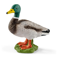 Schleich 13824 Kačer