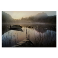 Fotografie In the misty morning, Willy	Marthinussen, 40 × 26.7 cm