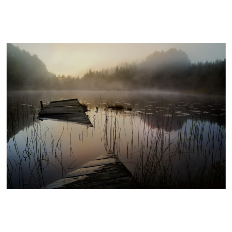 Fotografie In the misty morning, Willy	Marthinussen, 40x26.7 cm