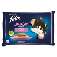Felix Fantastic Junior lahodný výběr v želé - s kuřetem a lososem 4 x 85 g