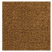 Balta koberce Metrážový koberec Kashmira 6839 - Bez obšití cm