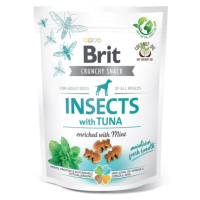 Brit Crunchy Snack Insects with Tuna enriched with Mint - 200g