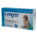 Fypryst Dogs spot-on pro psy 1x2.68ml