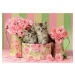 Educa puzzle Kittens with Roses 500dílné s fix lepidlem 17960