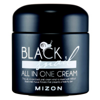 Mizon Black Snail Cream All In One regenerační krém 75 ml