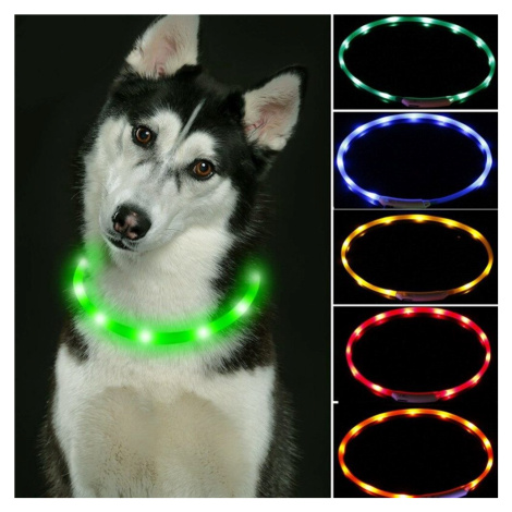 Reedog Easy Light USB dobíjecí svítící obojek pro psy a kočky - zelená