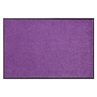 Hanse Home Collection koberce Rohožka Wash & Clean 103838 Violett - na ven i na doma - 90x150 cm