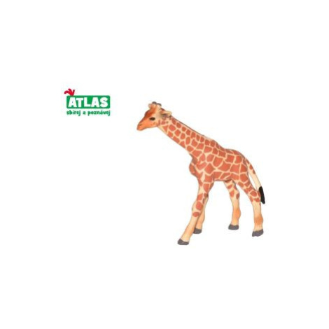 B - Figurka Žirafa mládě 9 cm ATLAS