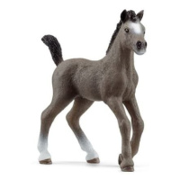 Schleich 13957 Hříbě plemene Selle Français