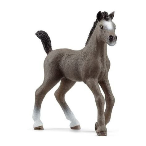 Schleich 13957 Hříbě plemene Selle Français