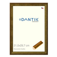 DANTIK rámeček 21 × 29,7, Starozlatý hladký sklo čiré