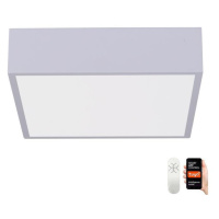 Neo  NEO 07238L - LED Stmívatelné stropní svítidlo CANTO 22W/230V bílá Tuya +DO