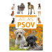 Atlas psov (prehľad, starostlivosť, plemená) - Anna Biziorek - kniha z kategorie Chov zvířat