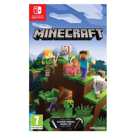 Minecraft NINTENDO