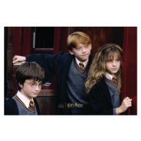 Umělecký tisk Harry Potter - Finally over, (40 x 26.7 cm)