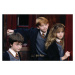 Umělecký tisk Harry Potter - Finally over, (40 x 26.7 cm)