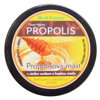 VIVAPHARM Propolisová mast s včelím voskem HERB EXTRACT