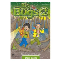 Big Bugs 2 Story Cards Macmillan