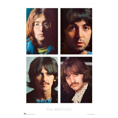 Plakát, Obraz - The Beatles - White Album, 61 × 91.5 cm