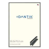 DANTIK rámeček 50 × 70, ALU profil 7269 Ššedý broušený plexi čiré