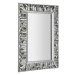 ZEEGRAS zrcadlo v rámu, 70x100cm, stříbrná IN432