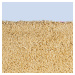 Kusový koberec Efor Shaggy 2226/Beige 120x170 cm