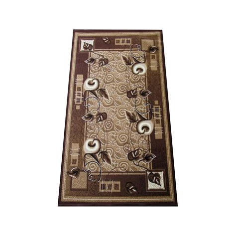 Kusový koberec Alfa hnědý 11 -80 × 150 cm