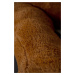 mamido  Velký plyšový medvěd XL Amigo hnědý 160 cm