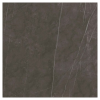 Dlažba Graniti Fiandre Marble Lab Pietra Grey 60x60 cm pololesk AS194X860