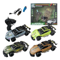 R/C speed car 2.4G 1:16, 4 druhy