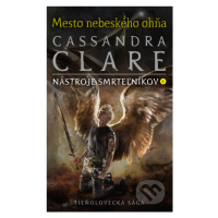 Mesto nebeského ohňa (Nástroje smrteľníkov 6) - Cassandra Clare - kniha z kategorie Beletrie pro