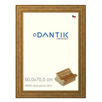 DANTIK rámeček 50 × 70, HRAD zlatý patina plexi čiré