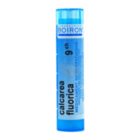 BOIRON Calcarea fluorica CH9 4 g