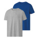 PARKSIDE® Pánské triko, 2 kusy (adult#male#ne, S (44/46), modrá/šedá)