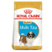 Royal Canin Shih Tzu 28 Junior 1,5 kg