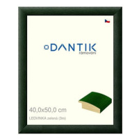 DANTIK rámeček 40 × 50, LEDVINKA zelený plexi čiré