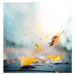 Fotografie It's time for autumn, borchee, (40 x 40 cm)
